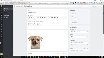 Dynamic Product Ads Facebook & Shopify Setup