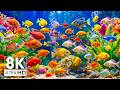 The Best 8K Aquarium Dive Into The Mesmerizing Underwater Realm Sea Jellyfish Coral Reefs 