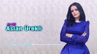 Aslan Ürekli