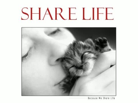 Help end animal cruelty in China 