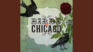 Video thumbnail of "Birds of Chicago - Before She Goes"