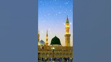 Hara Gumbad Jo Dekho Ge Jamana Bhool Jayo Ge Shorts100k Views Islamic Reel Trending Shorts Vidio 