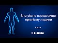 Внутрішнє середовище організму. Курс "Біологія людини".