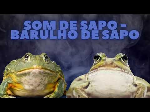 Os vídeos de sapo_frogg:) (@uma_pessoaqualquer765) com som original -  sapo_frogg:)