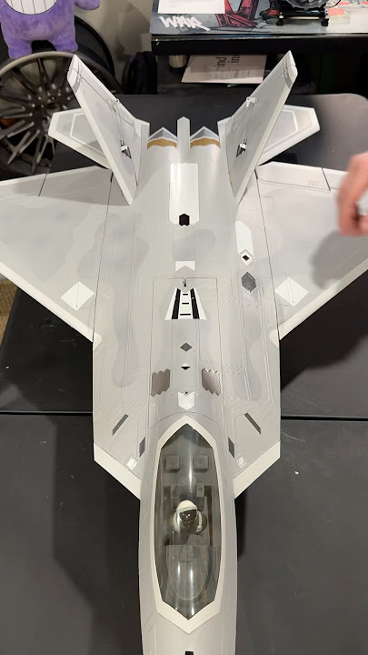 Sights & Sounds of a NEW RC F-22
