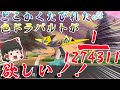 【ポケモン剣盾】確率100万分の1のくたびれた色ドラパルトがほしい!【ゆっくり実況】