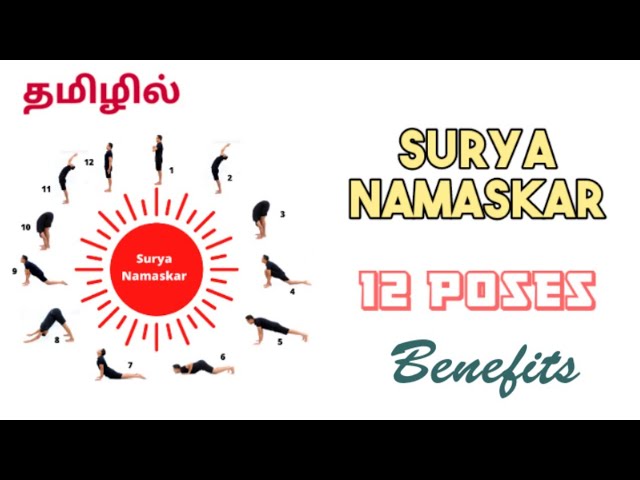 Sun Salutation For Beginners: How To Do Surya Namaskar A&B Step By Step |  The Yogatique