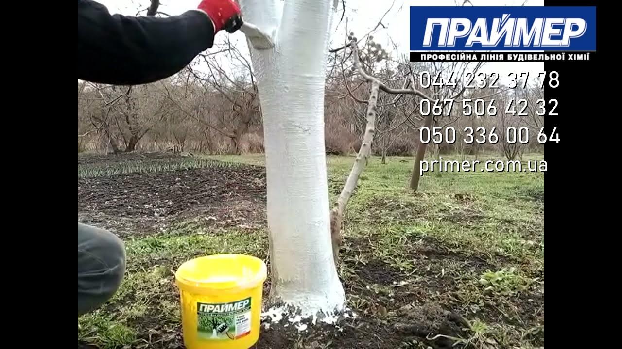 Краска для садовых деревьев ЕС-39 (краска для побелки деревьев) - YouTube