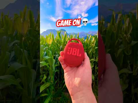 Lost in the Cornfield 🌽🔊