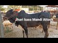 Jhari kass Mandi Attock Latest Rates | 16-07-2021