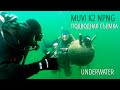 Экшн-камера Muvi K2 NPNG. Подводная съемка. Underwater | HelpfulDevices