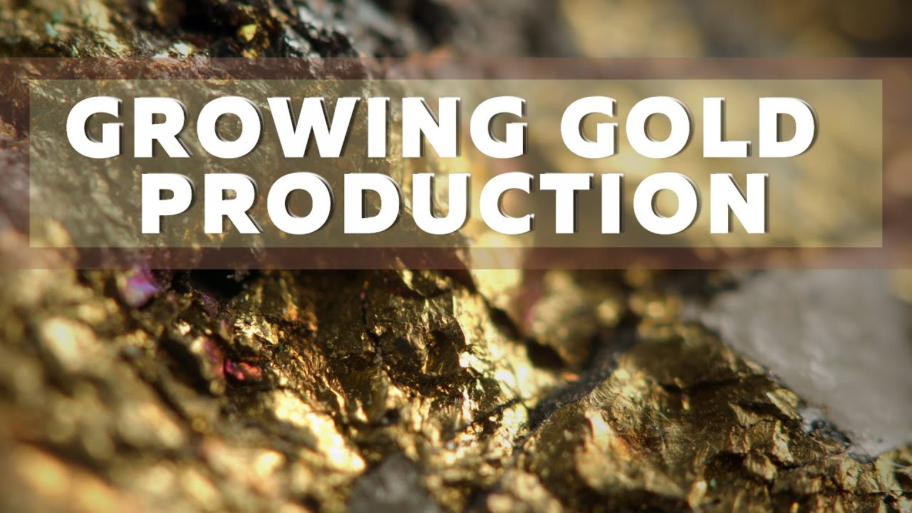 Growing gold. Growing gold