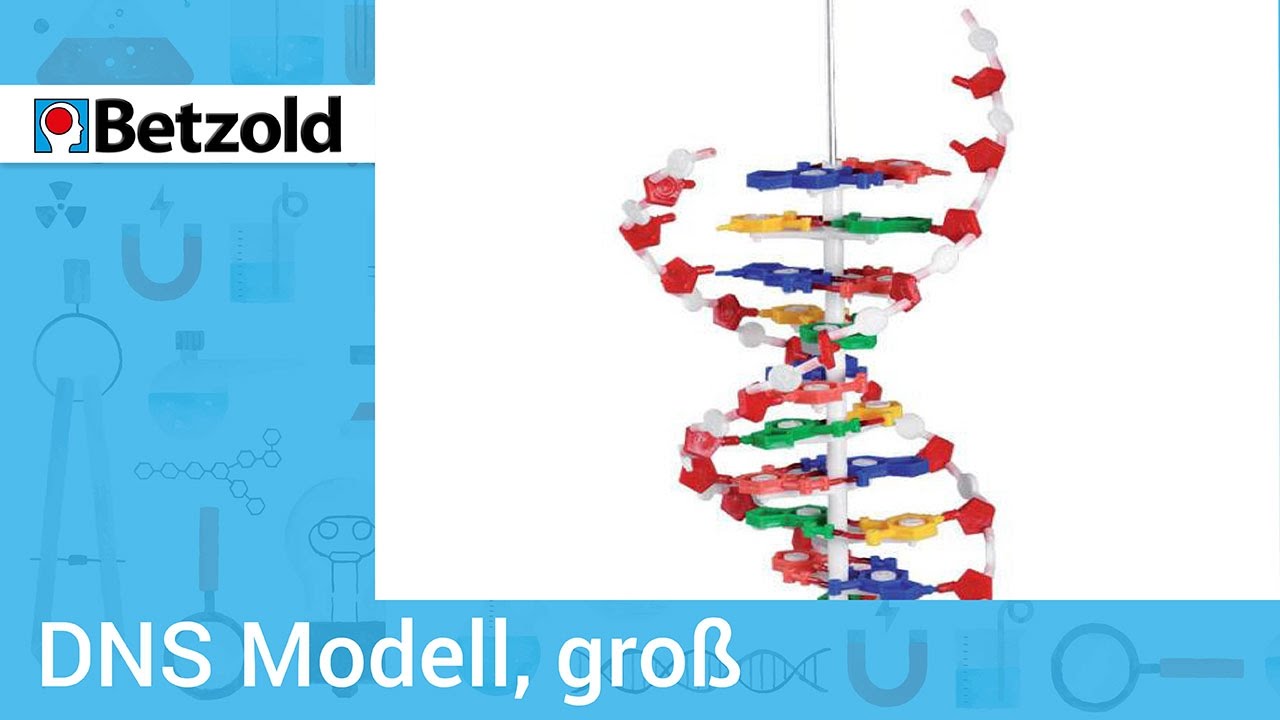 dns modell gross betzold youtube