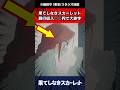 『果てしなきスカーレット』興行収入〇〇円で大赤字