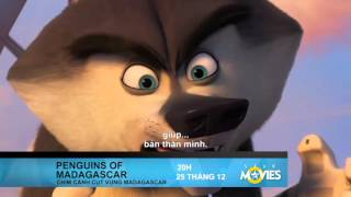 Penguins Of Madagascar
