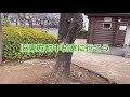 旧東方町中村家に行こう！