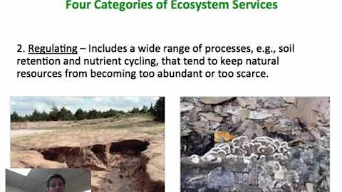 Natural Resources Ecosystem Services