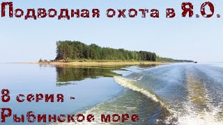 Подводная охота в Ярославской области. 8 серия - Рыбинское море.