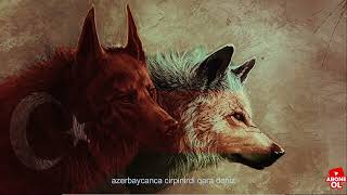 Azerin Cirpinirdi Qara Deniz Resimi