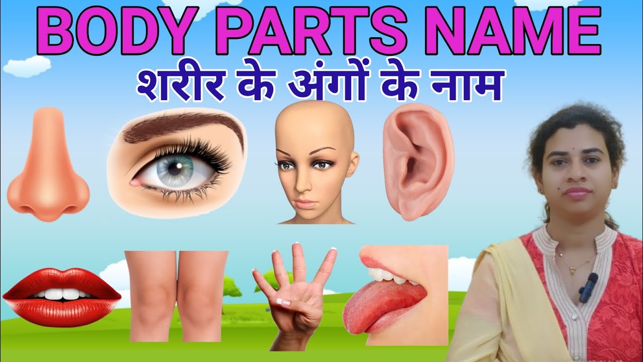 BODY PARTS NAME PARTS OF BODY HINDI AND body-parts-name-parts-of-body-hindi-and