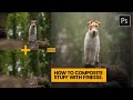 Video Tutorial Quiz on Compositing Techniques