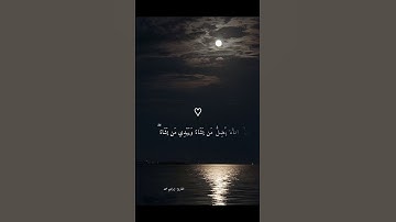 القارئ : إبراهيم محمد🌿.