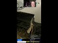 Elden Ring 1st Time Playthrough- I Fall to Pieces in Farum Azula 📱