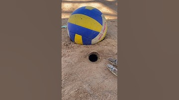 Easy Snake Trap - creative diy Snake Trap Using Ball & bamboo #shrots #birdtrap