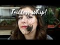 All About Tailless Whip Scorpions! [My pet from Harry Potter?!] Damon medius