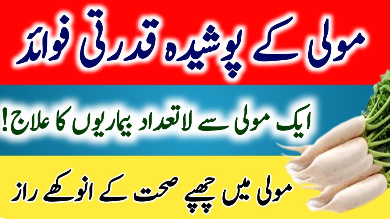 Moli khane k fayde in Urdu/ Benefits of radish/ vegitables benifits/ Mufeed Malomati Tv/MM Tv