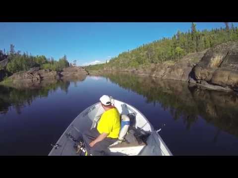Video: Athabasca järv: kirjeldus, taimestik ja loomastik, keskkonnaprobleemid
