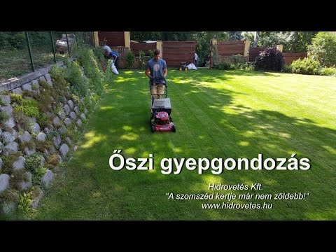 Videó: Hidegsérült pázsit – Hogyan lehet megelőzni és kijavítani a téli károkat a gyepen