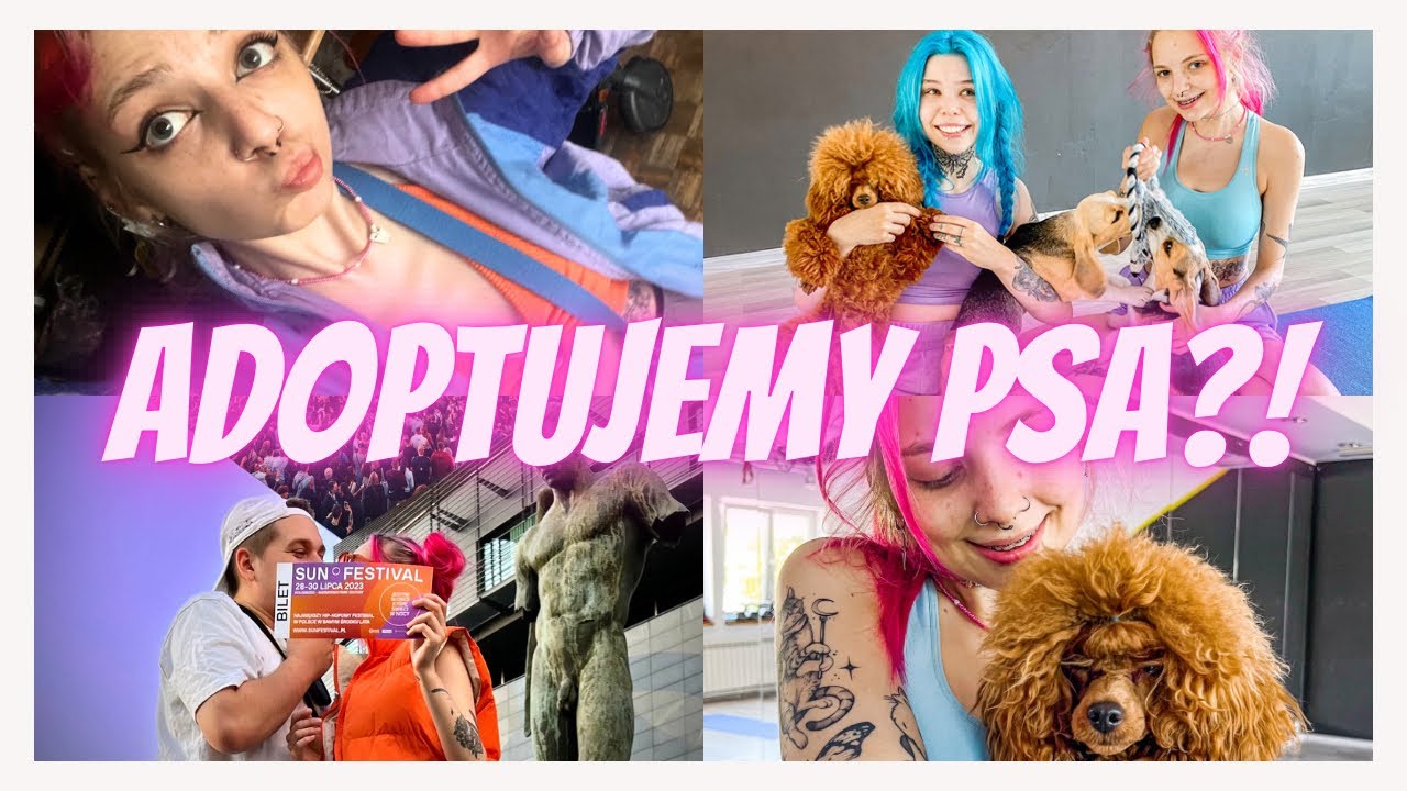 JOGA Z PIESKAMI!!! Jedziemy na Sun Festiwal🌸 Gość w Dom