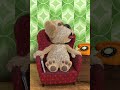 My Talking Tom 2 New Video Best Funny Android GamePlay My Talking Tom 2 New Video Best Funny Android GamePlay