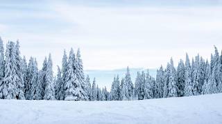 Information 2026-27 Winter Outlook Webinar: U.S. Snowfall Forecast Update