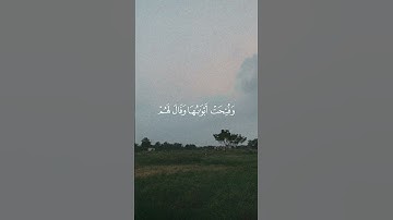 تلاوة من الزمر للشيخ عبدالبديع غيلان #foryou #قرآن