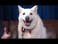 KROQ To The Rescue: Rescue From The Hart
