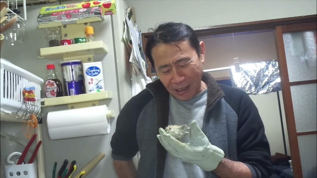 キムニーの貝酒、サザエ編。リベンジマッチ大成功。嬉しさのあまり饒舌になっています。 YouTube