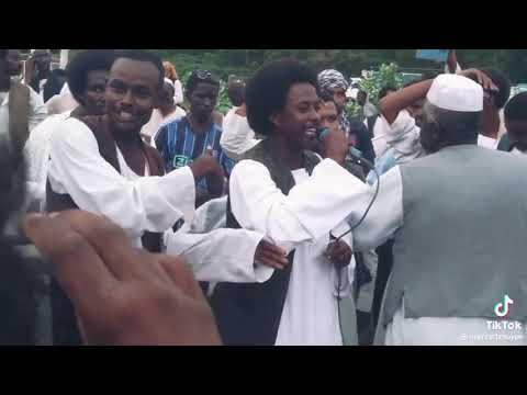 الجديدالفنان محمد أونور