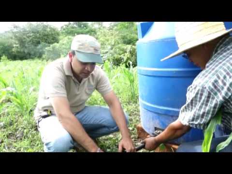 Video: Prepare su jardín para el invierno: drenaje y almacenamiento del riego por goteo