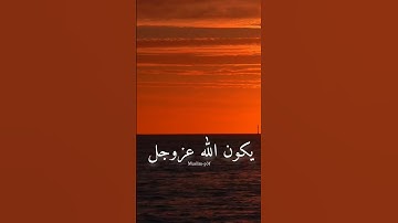 #quran #القرآن_الكريم 💚🤍❤️🕊 #yasseraldossary #لايك #المصحف #تلاوة_خاشعة #دويتو #duet