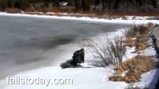 Walking on thin ice fail
