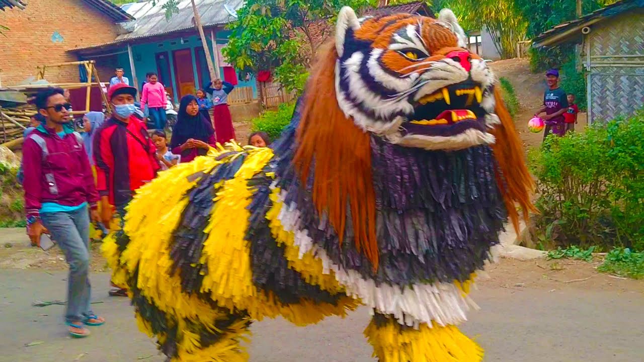 CAN MACANAN SINGO MANGGALA ATRAKSI DI WONOSUKO DIIRINGI DRUM BAND AL AZHAR KEMUNING