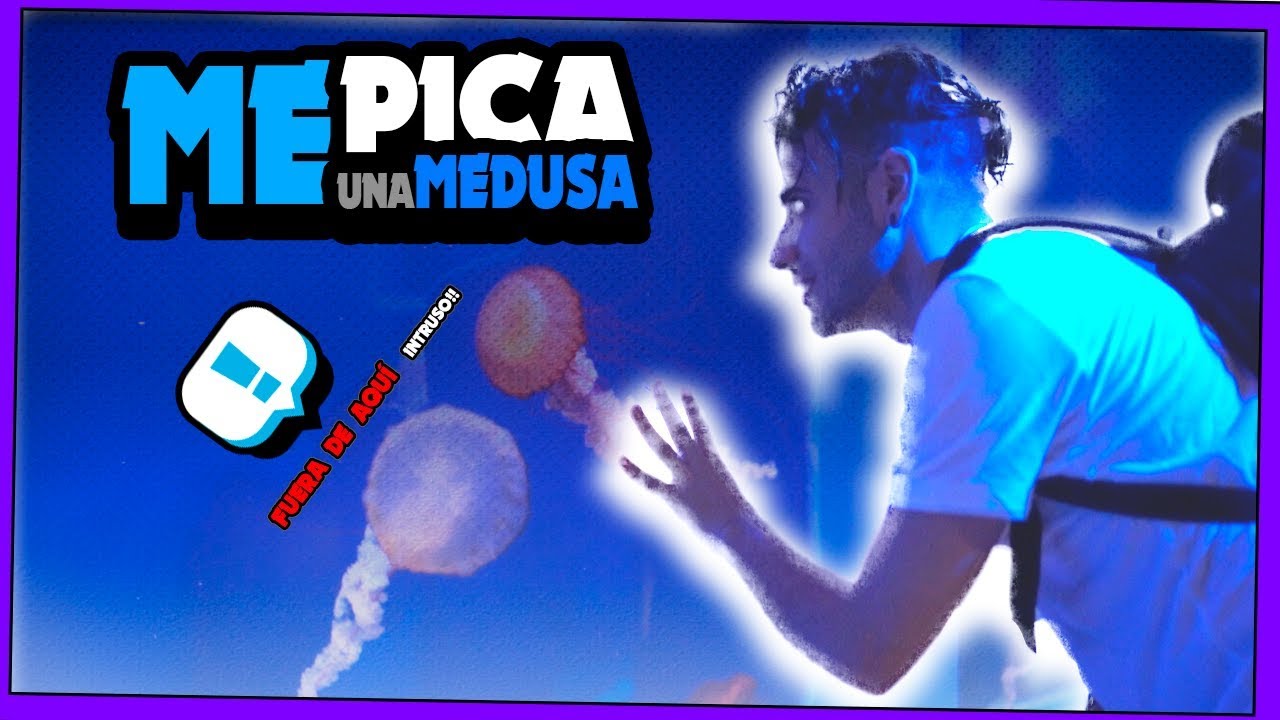 🔶LA MEDUSA MAS VENENOSA DEL MUNDO 🙀 Voy al Acuario de Sevilla a ver TIBURONES 🌴 Play Cacao lolo jones