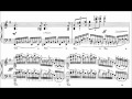Miniature de la vidéo de la chanson 6 Moments Musicaux, Op. 16: No. 4 In E Minor