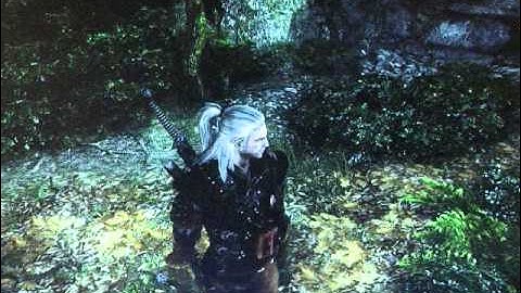Witcher 2 EE: Fullscreen flickering.