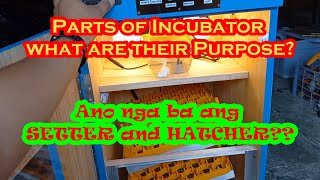 Parts of Egg Incubator and How to use Modiy Incubator fully automatic!