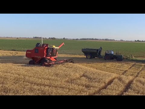 Report shows 40 per cent of Canada's farmers will retire by 2023