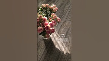 سورة نوح القارئ ياسر الدوسري🤍#سورة_نوح#القرآن_الكريم#ياسر_الدوسري