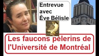 Les faucons pèlerins de Université de Montréal passionnent!